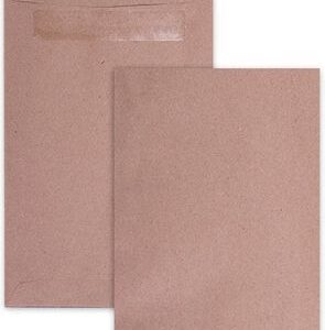 Leo Pocket Envelopes Manilla Plain Self Seal - 01-2349-60