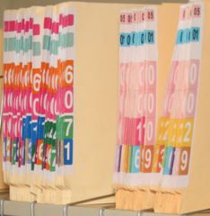 TIDY FILES LATERAL LABEL NUM (Blue) - LAT-6-PK5